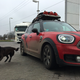Image for article titled Here's Some Things You Should Know About Driving the Pan-American Highway